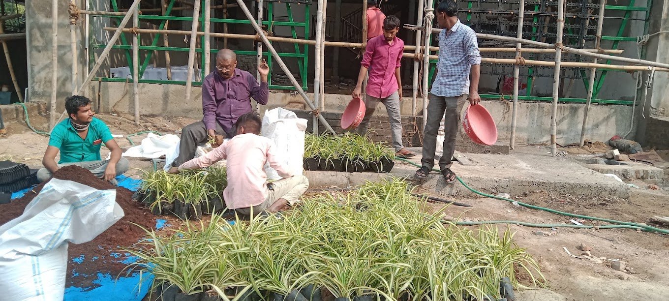 Vrundavan – Garden service, Landscape Designer – Online Gardeners in Vadodara, Gujarat