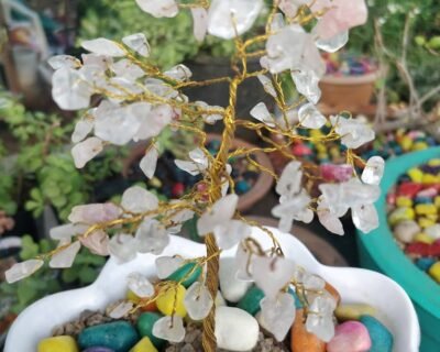 Vrundavan – Garden service, Landscape Designer – Online Gardeners in Vadodara, Gujarat