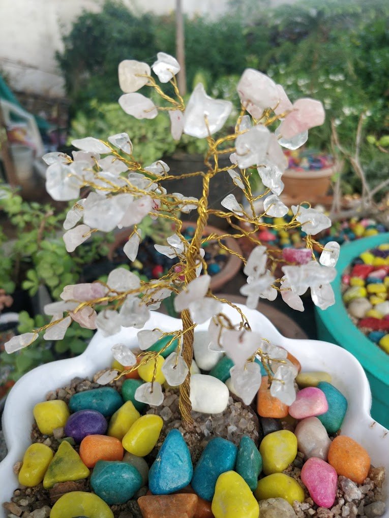 Vrundavan – Garden service, Landscape Designer – Online Gardeners in Vadodara, Gujarat