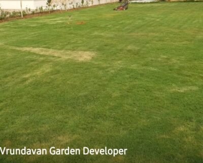 Vrundavan – Garden service, Landscape Designer – Online Gardeners in Vadodara, Gujarat