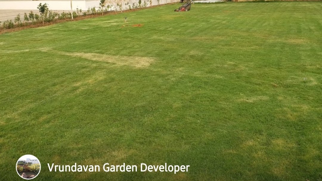 Vrundavan – Garden service, Landscape Designer – Online Gardeners in Vadodara, Gujarat