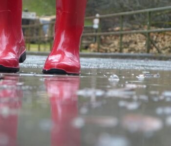 Wajid Basha Waterproofing Service in Bengaluru, Karnataka