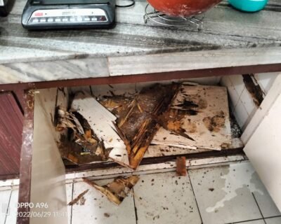 Zam Zam – Pest Control for Residential & Commercial, Best Pest Control Service in Chandigarh