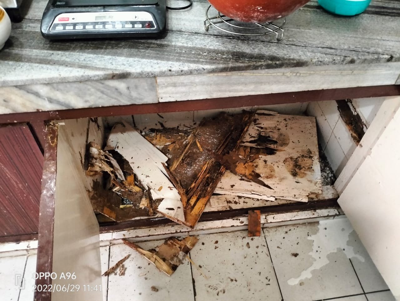 Zam Zam – Pest Control for Residential & Commercial, Best Pest Control Service in Chandigarh