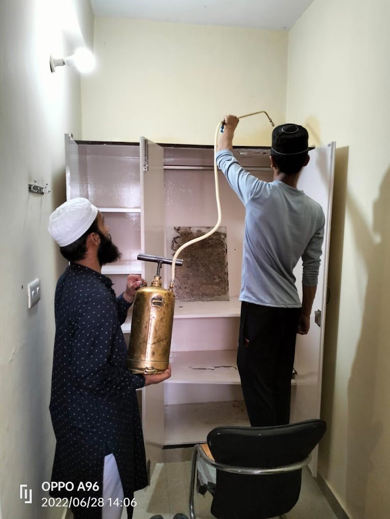 Zam Zam – Pest Control for Residential & Commercial, Best Pest Control Service in Chandigarh