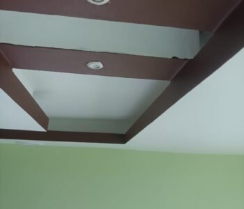 Skyline Services offer interior & exterior painting, plumbing service at Kolkata, West Bengal