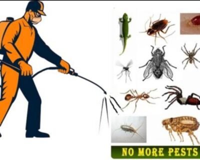 Sahara – Pest Control for Residential & Commercial, Best Pest Control Service in Vijayawada, Andhra Pradesh