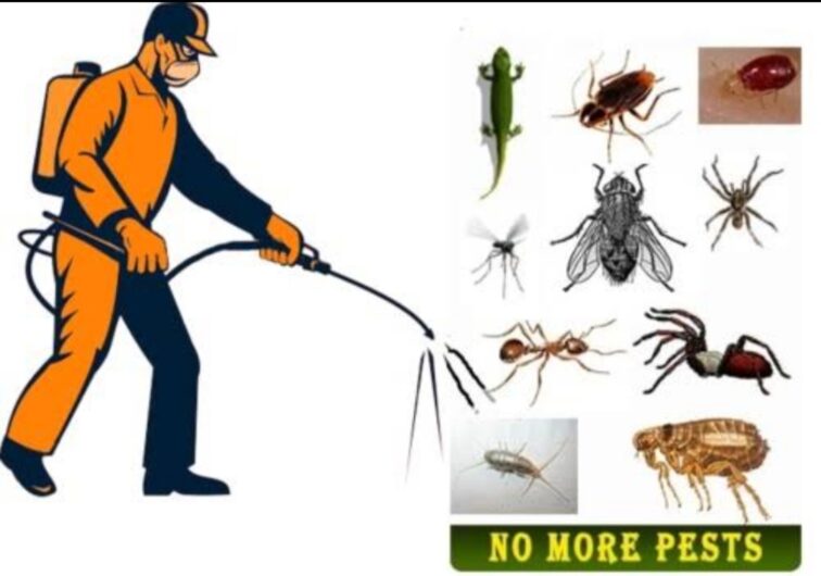Sahara – Pest Control for Residential & Commercial, Best Pest Control Service in Vijayawada, Andhra Pradesh