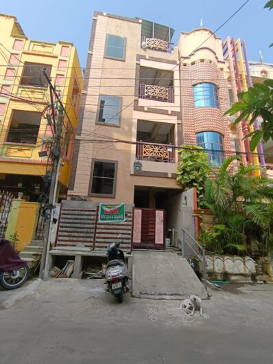 Sahara – Pest Control for Residential & Commercial, Best Pest Control Service in Vijayawada, Andhra Pradesh