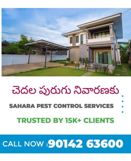 Sahara – Pest Control for Residential & Commercial, Best Pest Control Service in Vijayawada, Andhra Pradesh