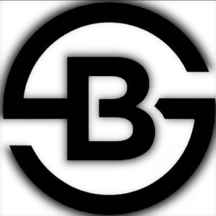 B.S.Service -Carpenter | Electrician | Painter | Plumber