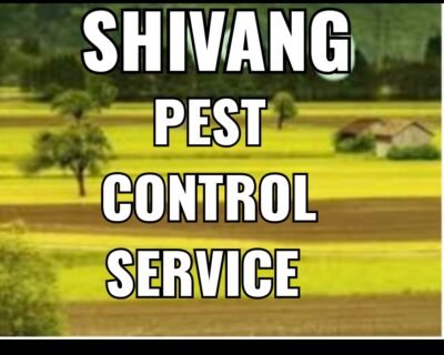 Shivang – Pest Control for Residential & Commercial, Best Pest Control Service in Indore, Madhya Pradesh