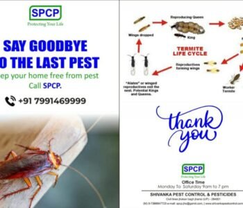 Shivanka - Pest Control for Residential & Commercial, Best Pest Control Service in Jhansi, Uttar Pradesh Shivanka - Pest Control for Residential & Commercial, Best Pest Control Service in Jhansi, Uttar Pradesh