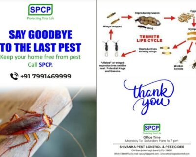Shivanka – Pest Control for Residential & Commercial, Best Pest Control Service in Jhansi, Uttar Pradesh