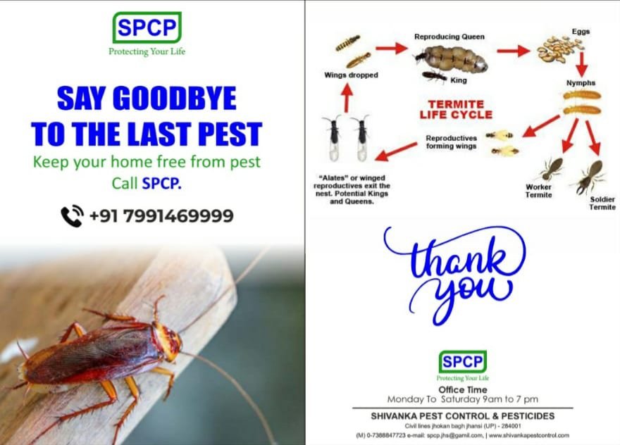 Shivanka – Pest Control for Residential & Commercial, Best Pest Control Service in Jhansi, Uttar Pradesh