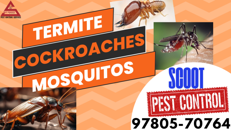 Scoot-Pest Control Services in Chandigarh