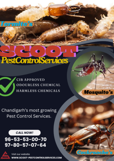 Scoot-Pest Control Services in Chandigarh