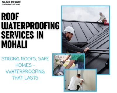 Waterproofing Roof Treatment in Mohali