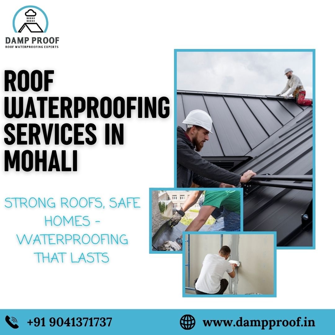 Waterproofing Roof Treatment in Mohali